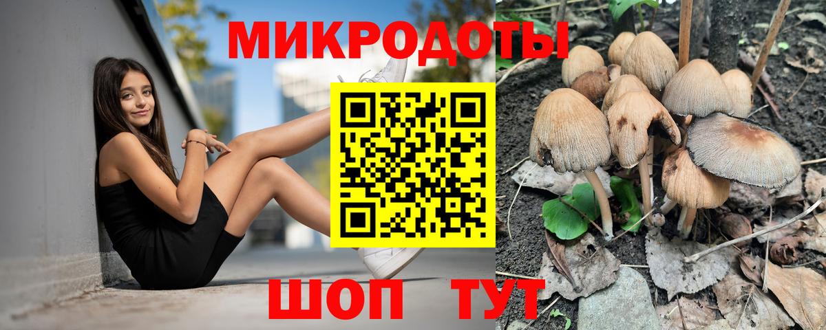 Галлюциногенные грибы Cubensis Магадан