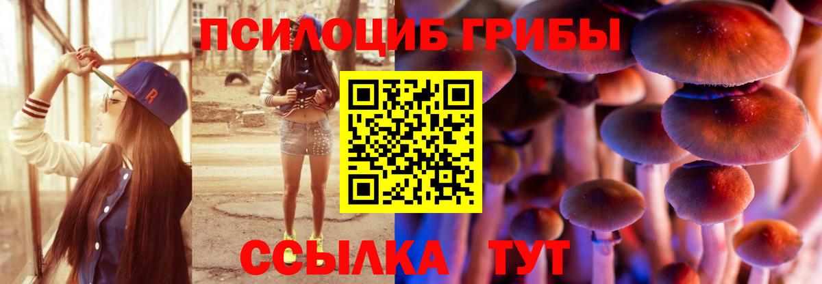 Галлюциногенные грибы ЛСД  Псилоцибиновые грибы Magic Shrooms  Магадан  Вход с VPN 